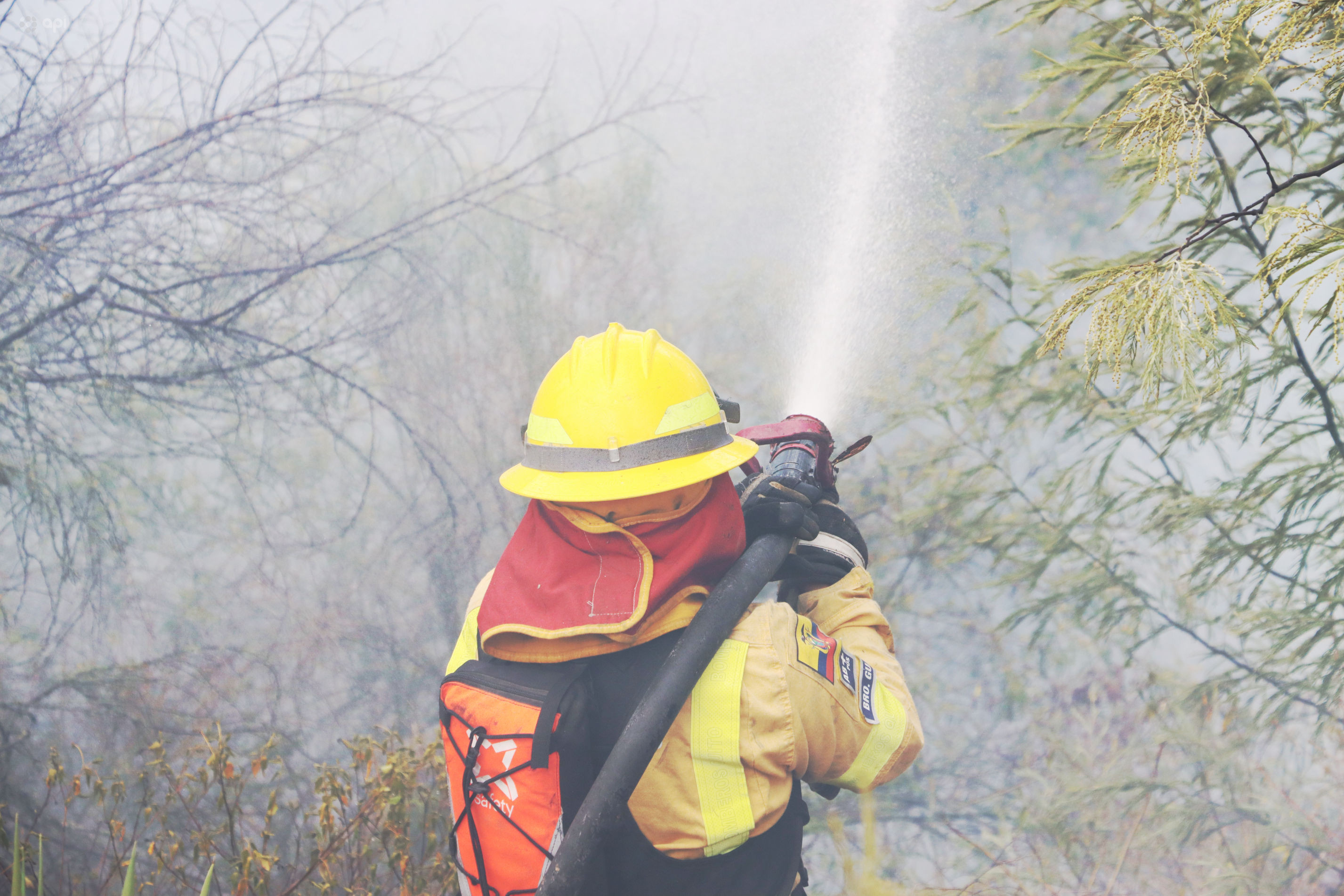 incendios forestales