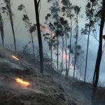 Se reactiva el fuego en Guápulo, Quito