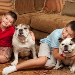 Así debe ser la relación entre un niño y un perro