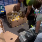 Cocaína de Ecuador camuflada en Pitahaya es decomisada en España