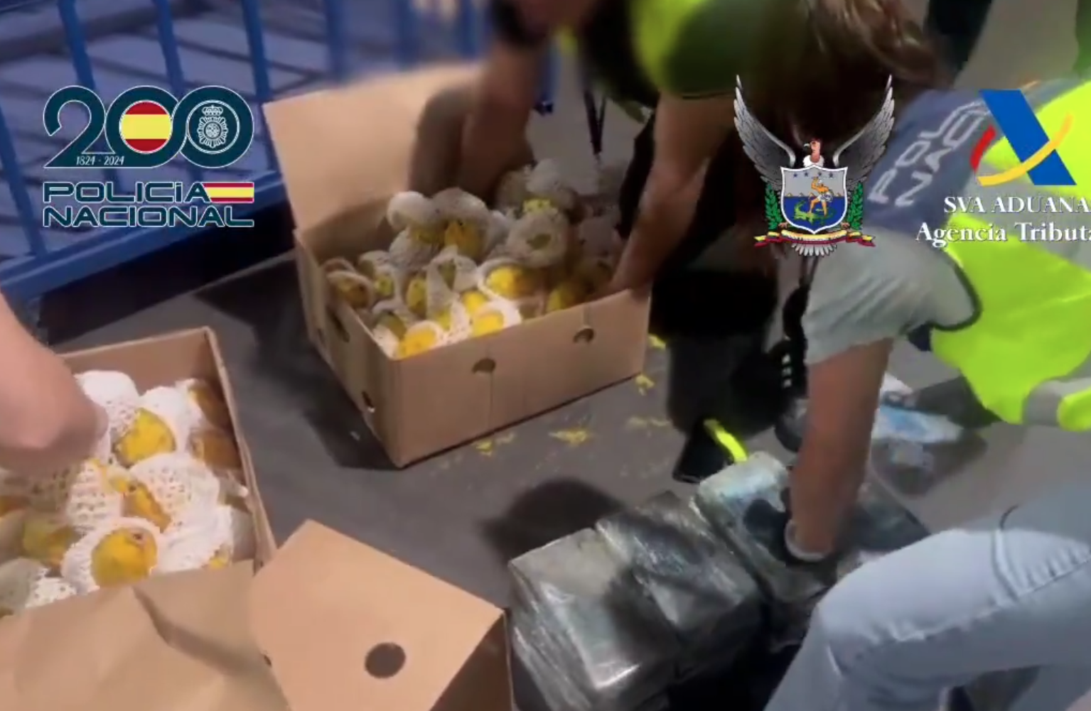 Cocaína de Ecuador camuflada en Pitahaya es decomisada en España