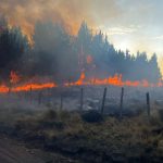 Durante el lapso de 24 horas un incendio forestal destruyó algo más de 100 hectáreas de bosques en la provincia de Cotopaxi.