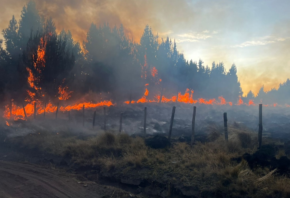 Durante el lapso de 24 horas un incendio forestal destruyó algo más de 100 hectáreas de bosques en la provincia de Cotopaxi.