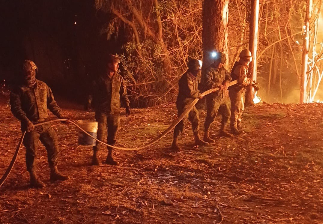 El norte de Quito vive momentos de zozobra debido a un gran incendio forestal  que se activó en el sector de Guápulo. Las llamas amenazan a dos barrios.