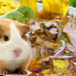 Emprendedora prepara encebollado con cuy