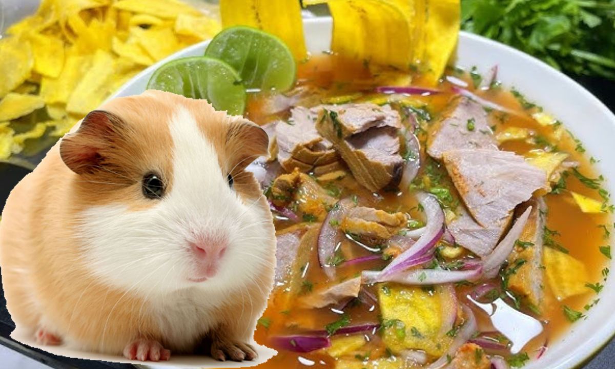Emprendedora prepara encebollado con cuy