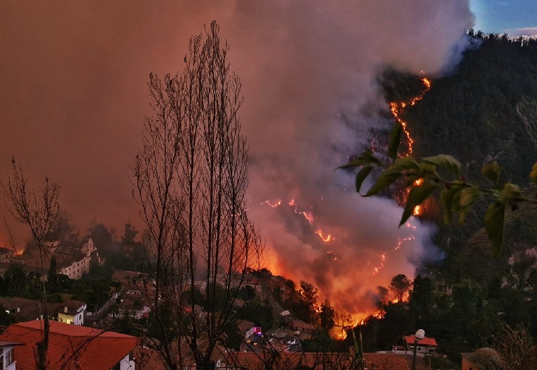Un voraz incendio forestal, en el sector de Guápulo, en Quito, hizo que se movilizaran el Gobierno Nacional y el Municipio capitalino.