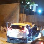 una mascota asesinada atentado a balas