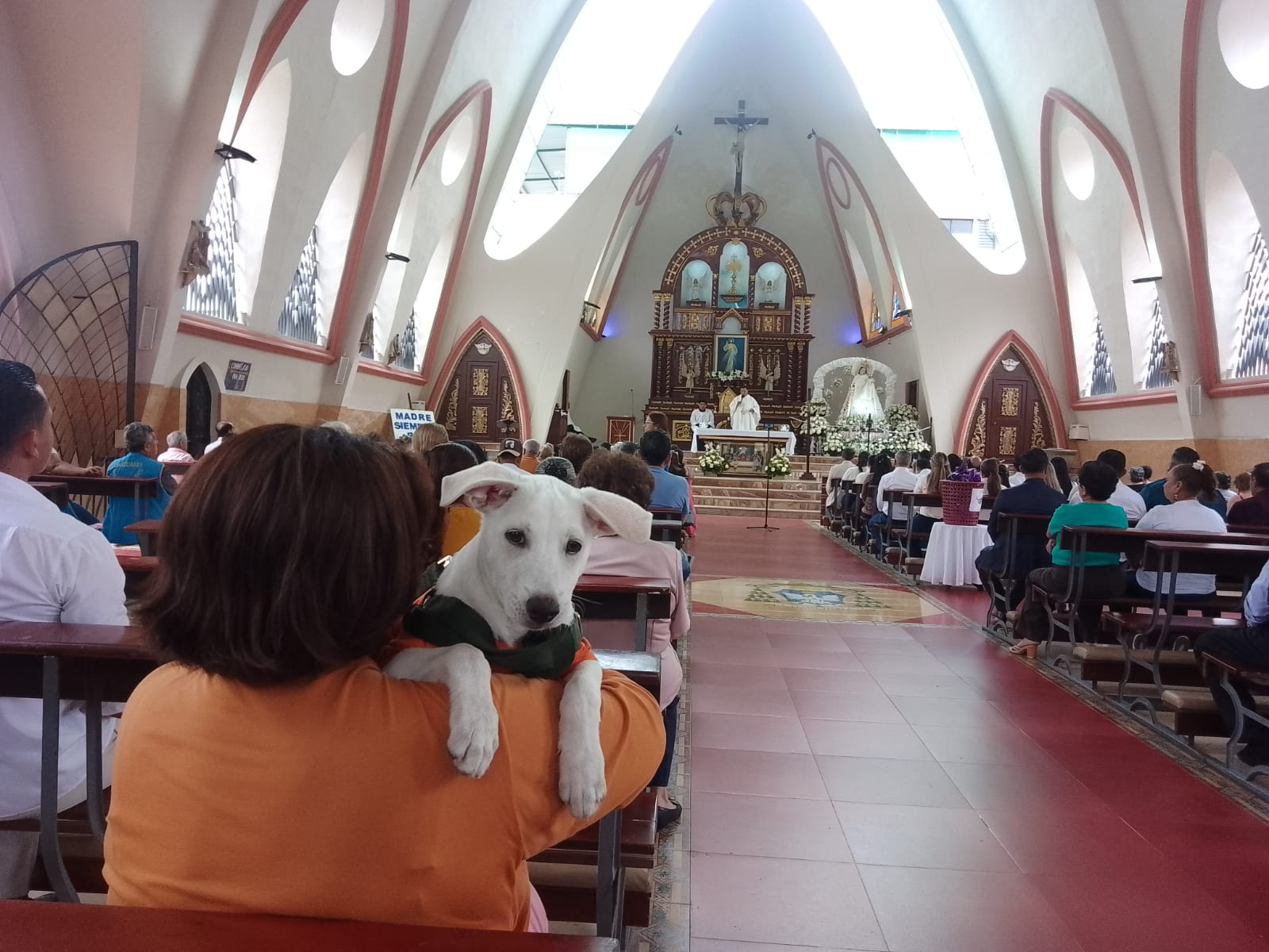 Tomasito, fiel devoto de La Virgen de la Merced