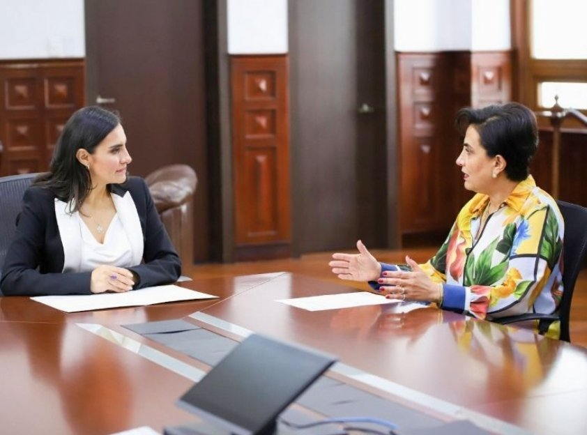 canciller denuncia a Verónica Abad
