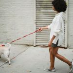 Una mujer perdió un ojo por pasear a su perro
