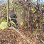 Apicultor encontró una osamenta que sería de una mujer, en Portoviejo