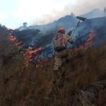 Graves incendios forestales se han registrado en Cuenca y Loja. Las autoridades presumen que estos han sido provocados.