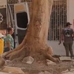 Un trabajador murió al caerse de un andamio