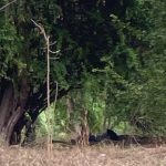 Borracho se arropó con funda y causó alarma; pensaron que era un descuartizado