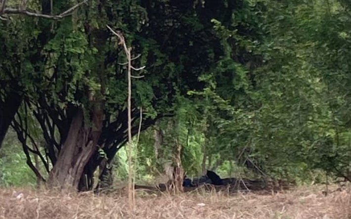 Borracho se arropó con funda y causó alarma; pensaron que era un descuartizado