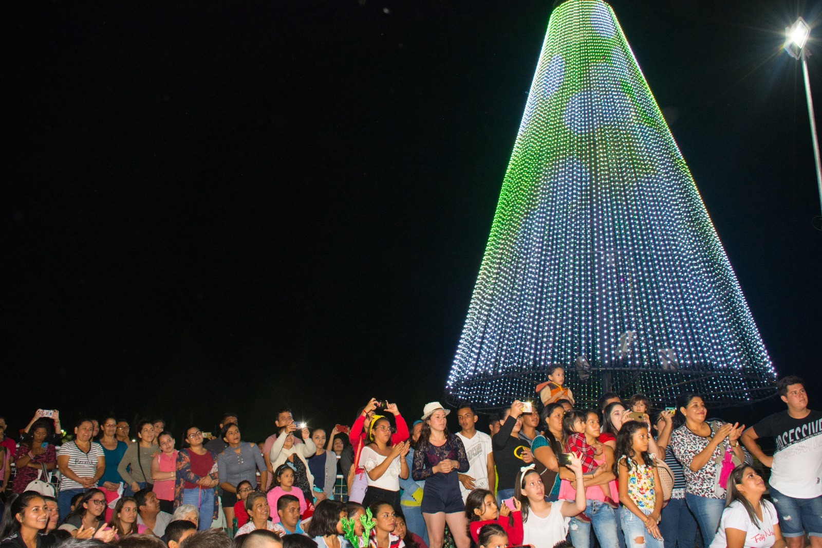 El Diario enciende su árbol de navidad