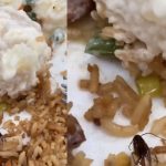 Le salió una cucaracha en un platillo que pidió en un centro comercial