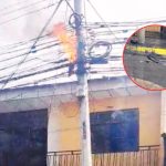 Paloma causó cortocircuito e incendio de cables en Portoviejo