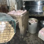 Personal de la Arcsa encontró un gato encerrado en un asadero de pollos