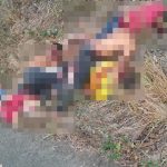 Preocupación. Eso causó el hallazgo de seis cadáveres, todos apilados, en la parroquia Boyacá del cantón Chone, en Manabí.