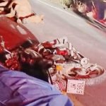 Un hombre se estrelló contra un caballo y murió