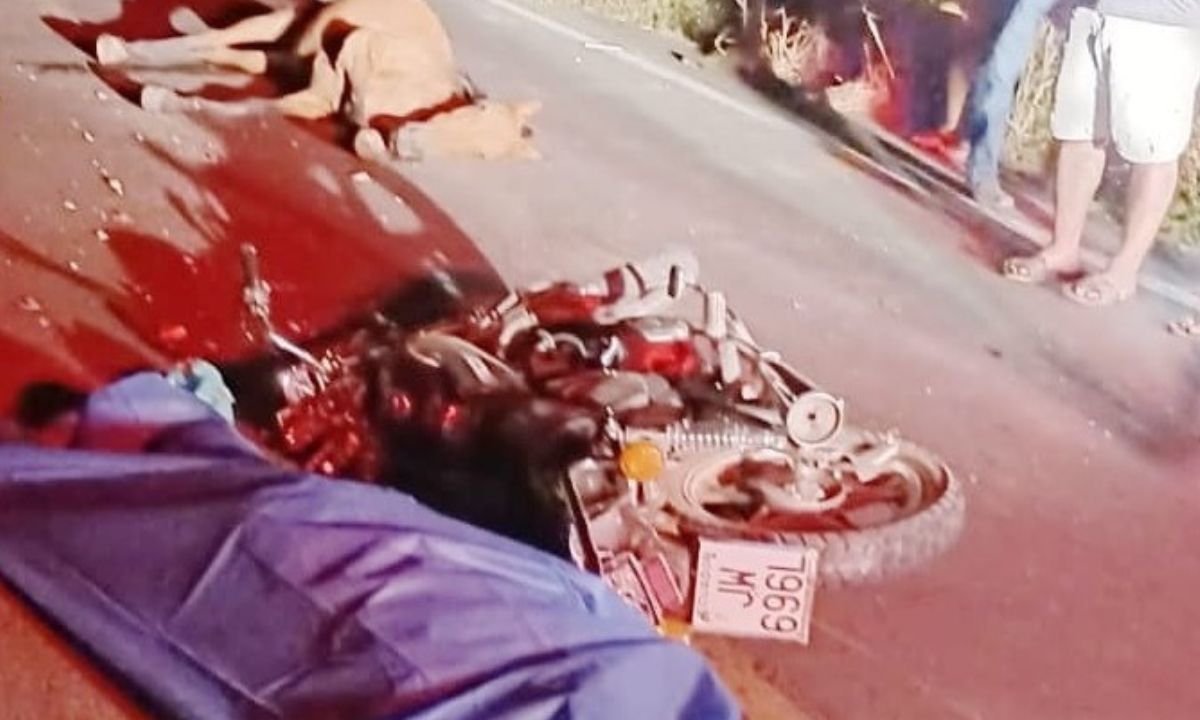 Un hombre se estrelló contra un caballo y murió