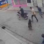 Un perro defendió a un hombre del ataque de tres ladrones