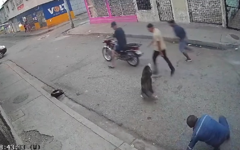 Un perro defendió a un hombre del ataque de tres ladrones