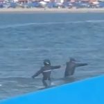 Con armas, dos sujetos se metieron al mar y asesinaron a un hombre