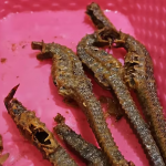 caballitos de mar en un chifa e Samborondón