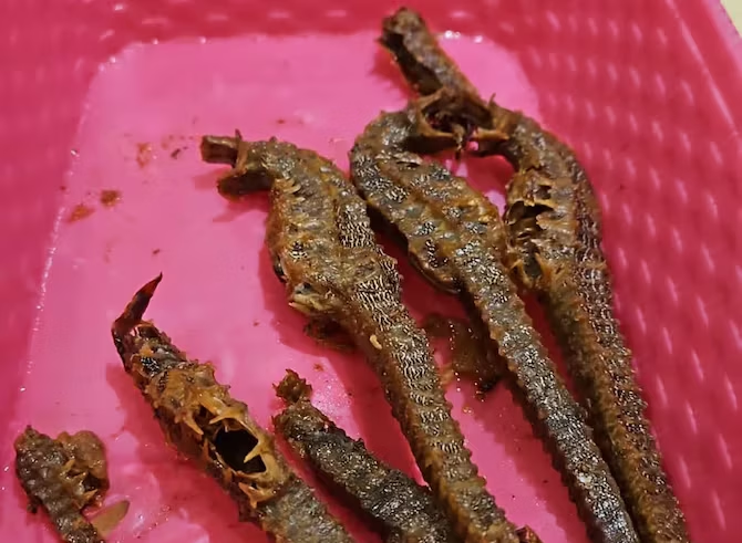 caballitos de mar en un chifa e Samborondón