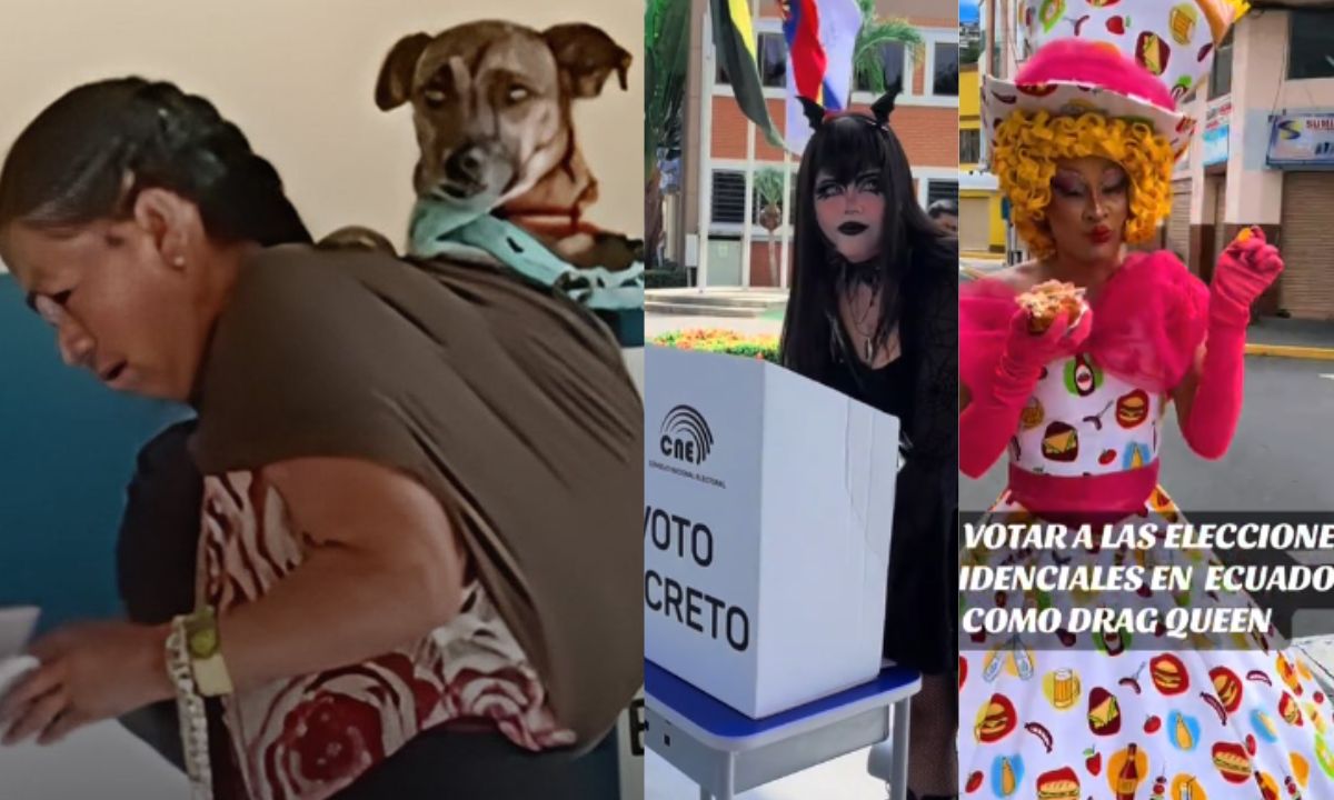 Curiosidades captadas durante las votaciones del 9 de febrero