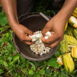 Las frutas y hortalizas representan el 33 por ciento de exportaciones no petroleras