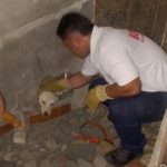 El Carmen. Rescatan a 'Chiquito', una mascota atrapada entre dos paredes