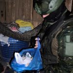 El Ejército ecuatoriano realizó allanamientos en Portoviejo y halló explosivos, dinero y otros elementos vinculados a actividades ilícitas.