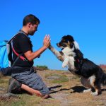 Mascota. Enséñales trucos y habilidades siguiendo los consejos de un experto