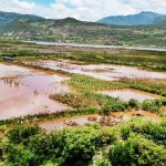 Las intensas lluvias han provocado pérdidas millonarias en el sector agrícola, afectando principalmente a los cultivos de arroz y maíz.