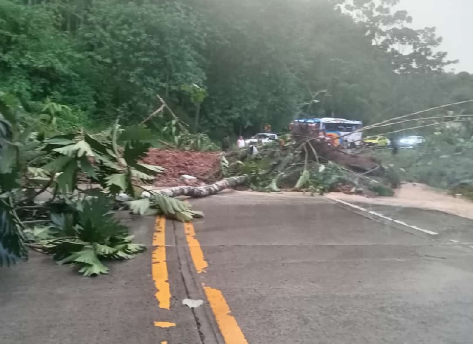 Las lluvias en Manabí han generado varios deslizamientos de tierra, bloqueando temporalmente la vía Flavio Alfaro-El Carmen.