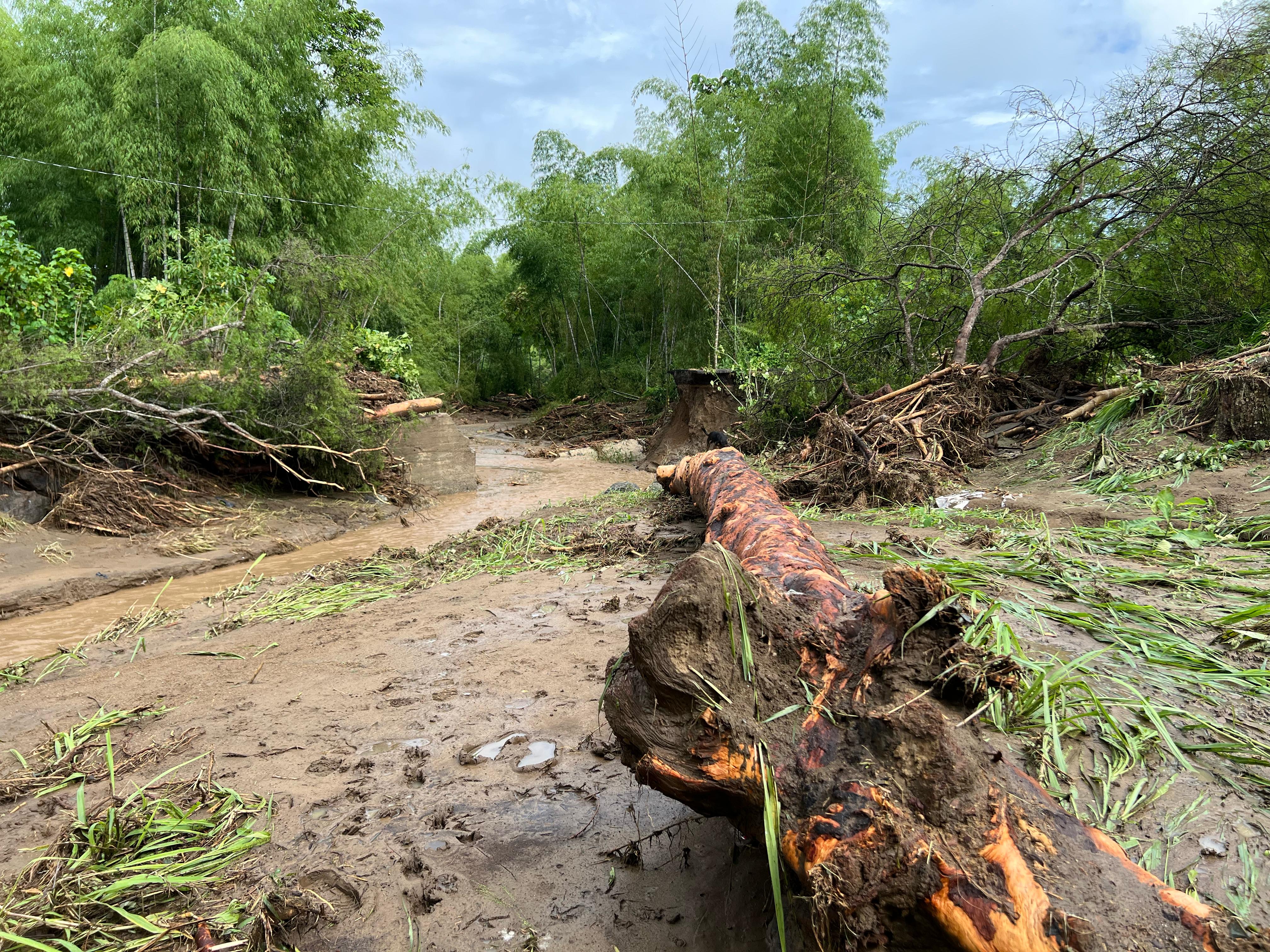 Ecuatorianos acusan a al actual Gobierno de ignorar la crisis ecológica