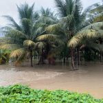 Fuertes lluvias pondrán en peligro los cultivos.