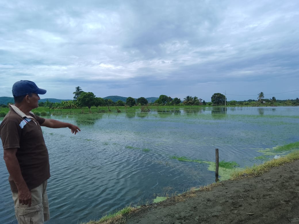 invierno lluvias agrícola manabí