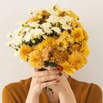 Tendencia. ¿Por qué se regalan flores amarillas cada 21 de marzo