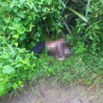 Un cadáver en avanzado estado de descomposición se descubrió en un sector rural de Montecristi, en la provincia de Manabí.