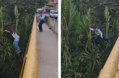 Un video en el que se aprecia a un ciudadano saltar a un río le ha estado dando la vuelta a las redes sociales.