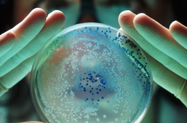 La OMS advierte de una "pandemia silenciosa" causada por bacterias resistentes a los antibióticos