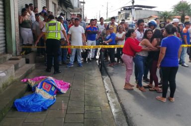 perro-accidente-muerto-santo-domingo