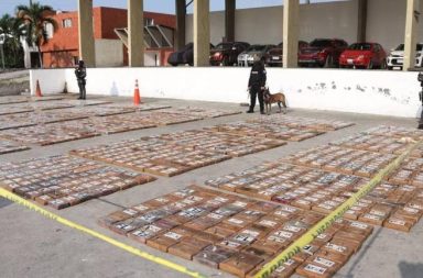 En varias cajas con banano agentes de la Policía incautaron 2,9 toneladas de cocaína que estaban listas para su exportación.