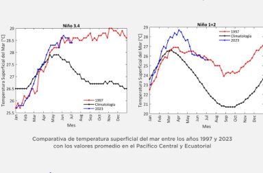 El Niño 1997 y 2023 temperaturas del mar