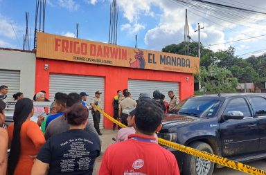 Al propietario de un local de venta de carnes, en la ciudadela San Alejo, lo asesinaron de varios disparos.